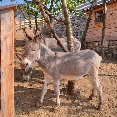 Agritur Maso Librar-3